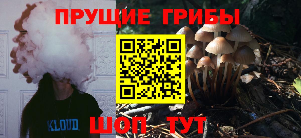 Псилоцибиновые грибы GOLDEN TEACHER Таганрог